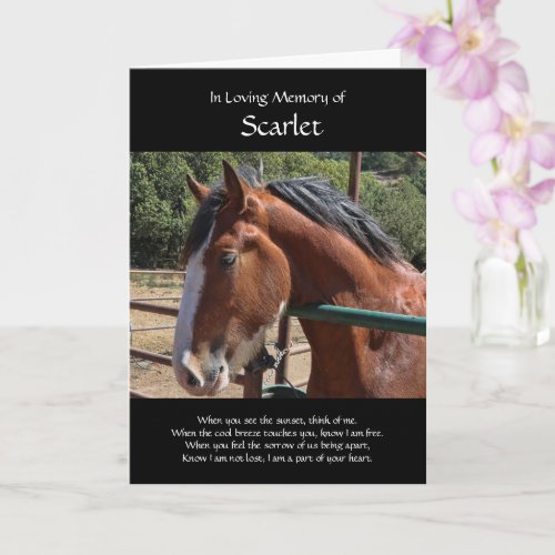 Horse Sympathy Custom Name and Photo Card