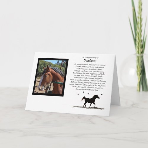 Horse Sympathy Custom Photo and Name Card