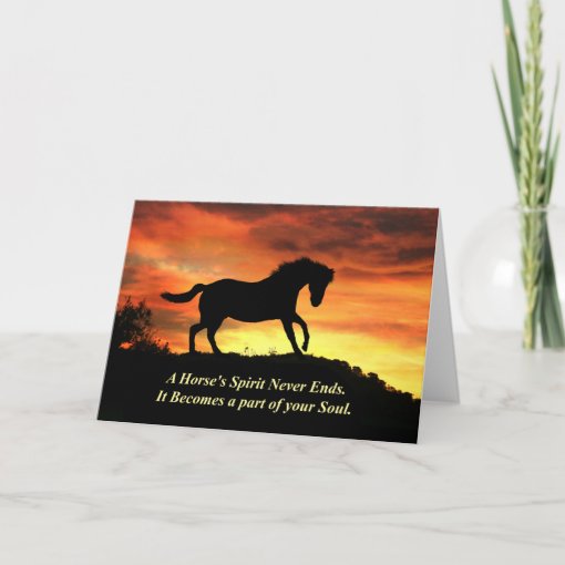 Horse Sympathy Loss Of Horse Card 