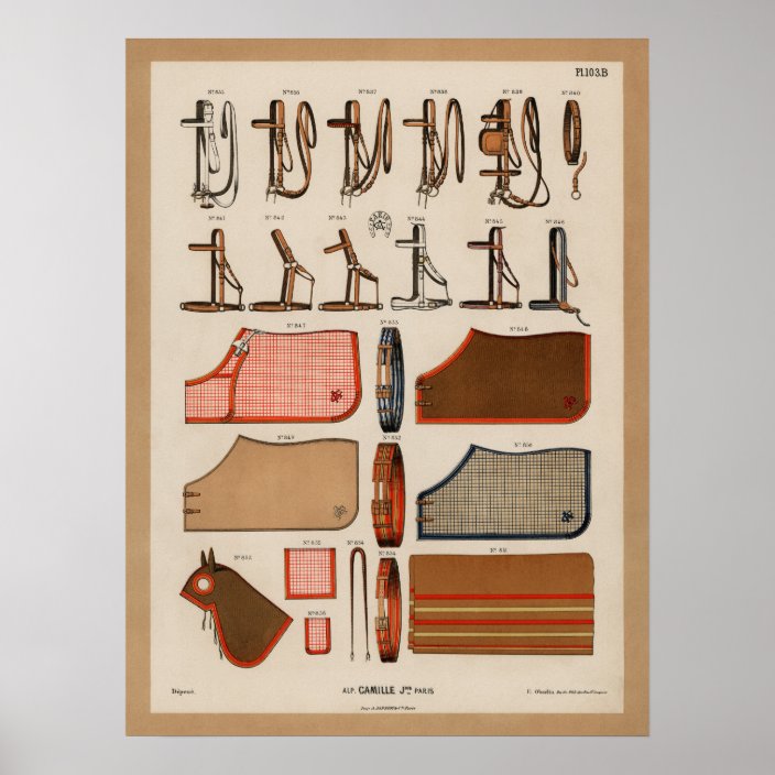 Horse Tack Poster