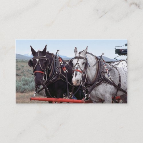 Horse team business card