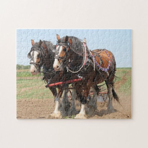 Horse Team Farm Animal Jigsaw Puzzle