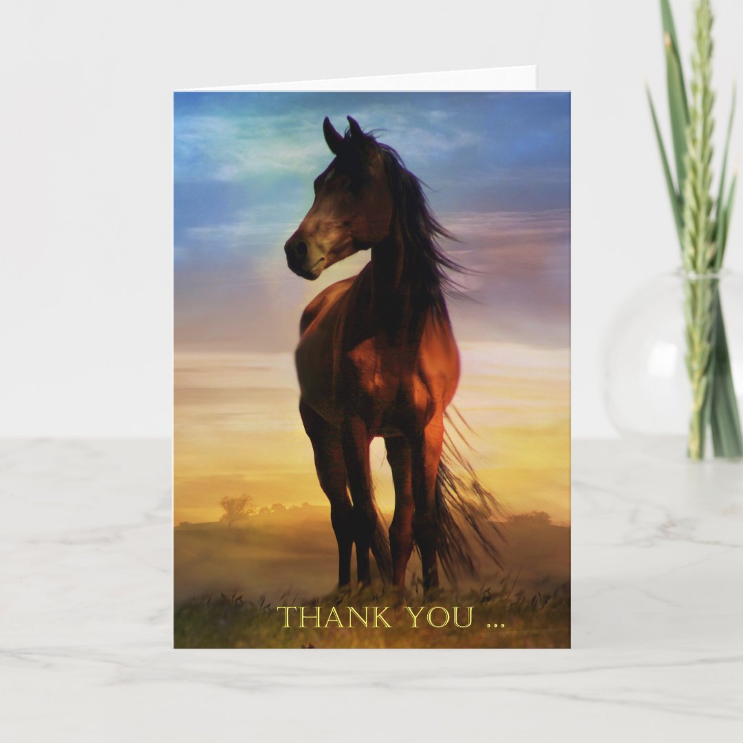 Horse Thank You Note Card | Zazzle
