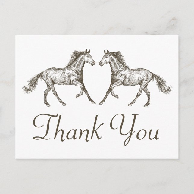 Horse Thank You Western Wedding Country Rustic Postcard (Front)