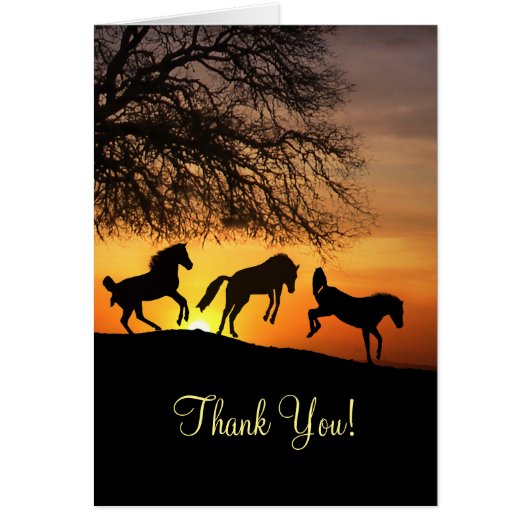 Horse Thank You You Made My Day Cards (Front)