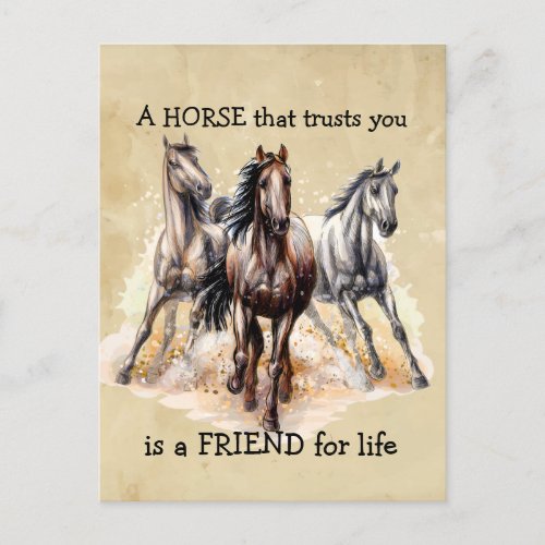 HORSE that Trusts FRIEND for life Quote  Postcard