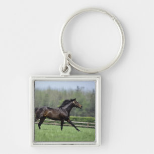 Horse Thoroughbreds, Wassl 1988, Keychain