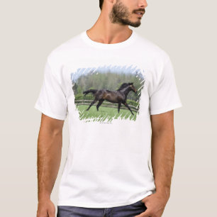 Horse Thoroughbreds, Wassl 1988, T-Shirt