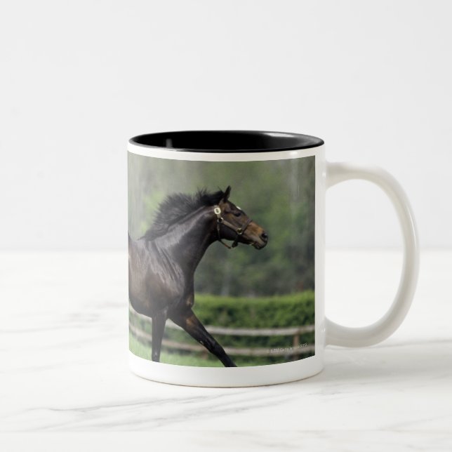 Horse Thoroughbreds, Wassl 1988, Two-Tone Coffee Mug (Right)