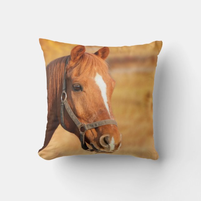 Horse Throw Pillow (Front)
