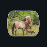 Horse tin<br><div class="desc">See my store for more horse items.</div>