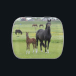 Horse tin<br><div class="desc">See my store for more horse items.</div>