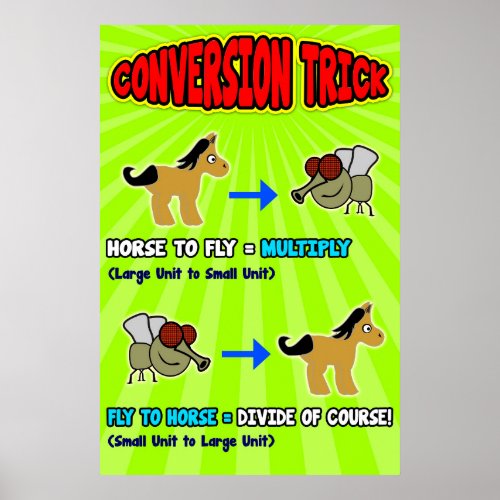 Horse to Fly  PosterAnchor Chart for Students