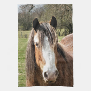 HORSE TOWEL