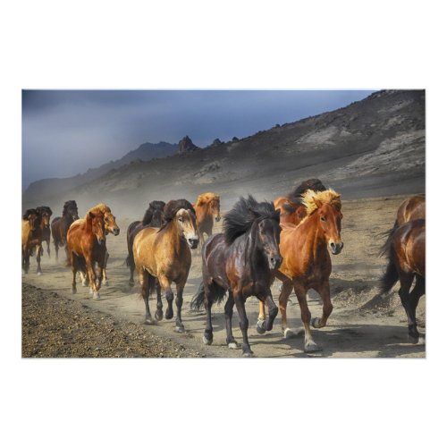 horse trail poster
