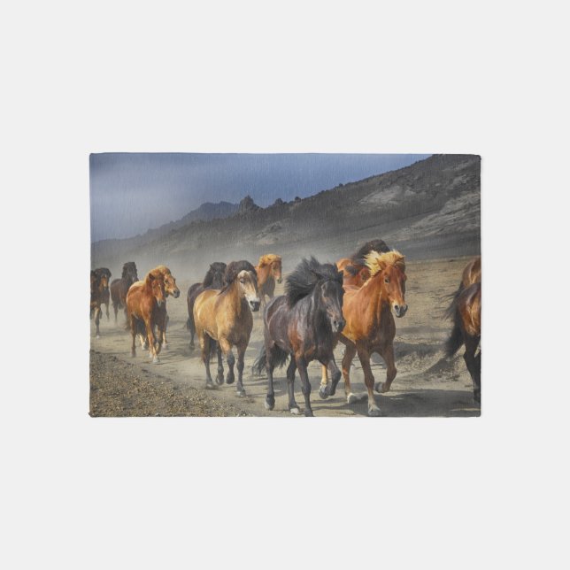 horse trail rug (Front)