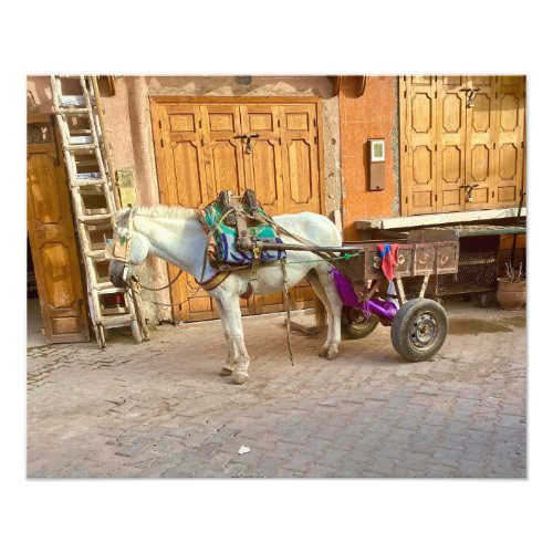 Horse  Trailer in the Medina _ Marrakech Morocco Photo Print