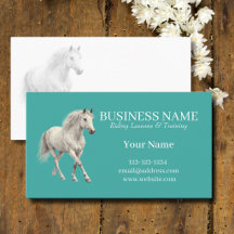 Horse Trainer Riding Lessons 