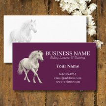 Horse Trainer Riding Lessons 