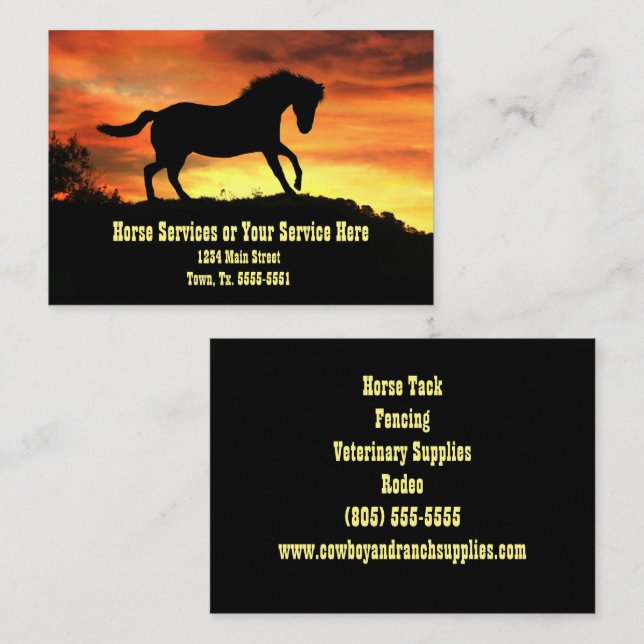 Horse Training Supplies Service Lessons Business C Business Card (Front/Back)