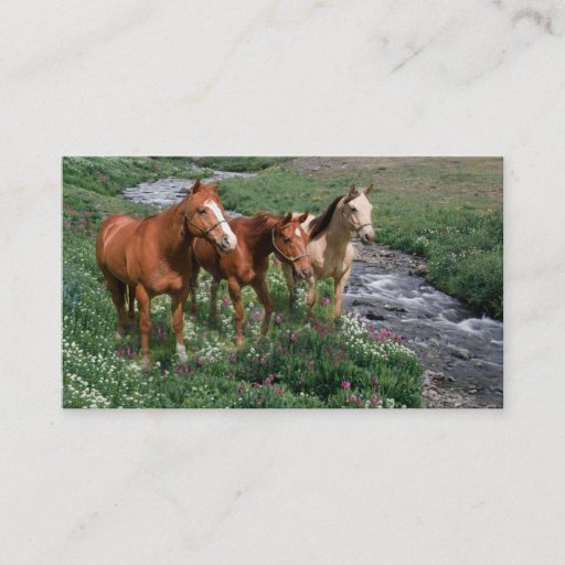 Customizable Horse Trio Business Card