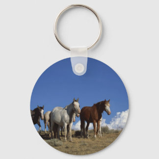Horse Trio Keychain