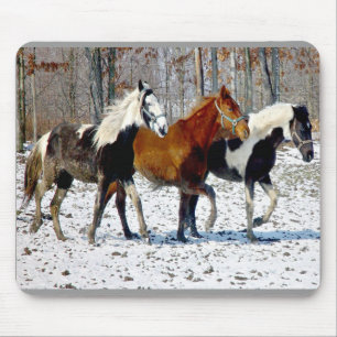 Horse Trio Mousepad