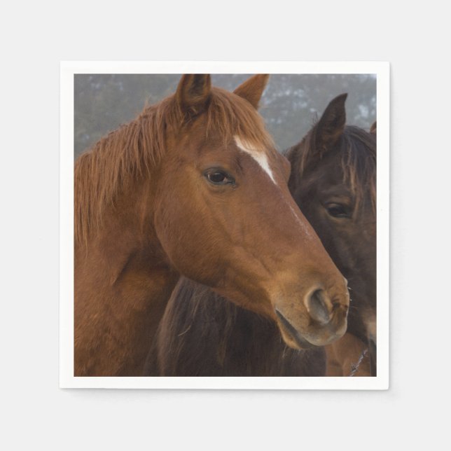 Horse Triplets Napkins (Front)