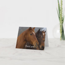 Horse Triplets Thank You Card