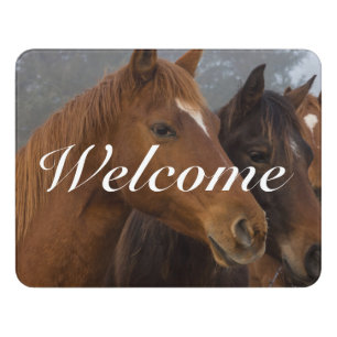 Horse Triplets Welcome Sign