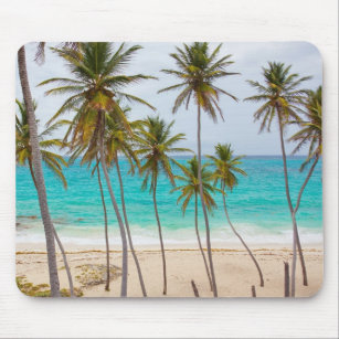 Horse Tropical Beach with Palm Trees Mouse Pad