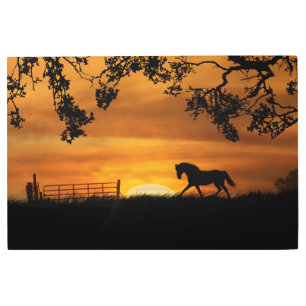 Horse Trotting in Sunset with Country Fence Metal Print