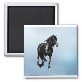 Horse Turning Suddenly Magnet by laureenr at Zazzle