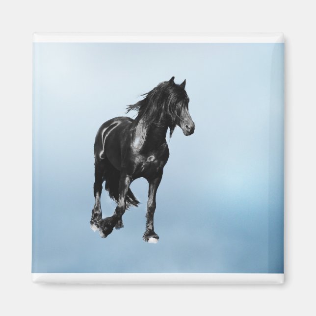 Horse turning suddenly magnet (Front)