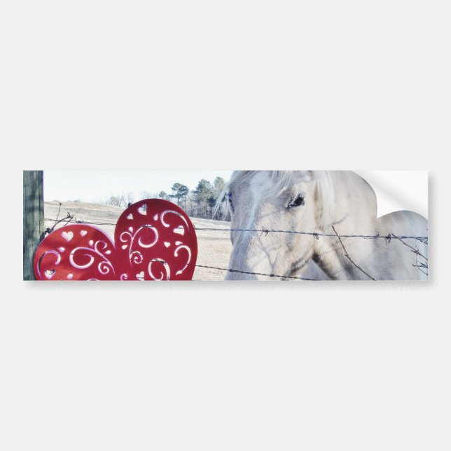 HORSE Valentine heart Bumper Sticker (Front)