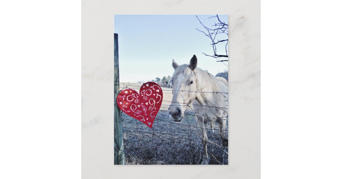 HORSE Valentine heart Holiday Postcard | Zazzle