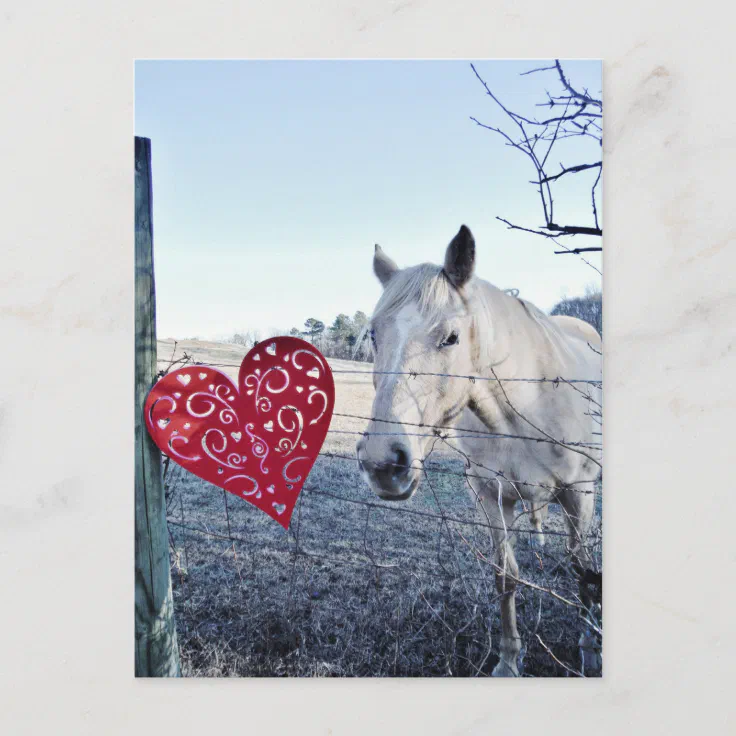 horse-valentine-heart-holiday-postcard-zazzle