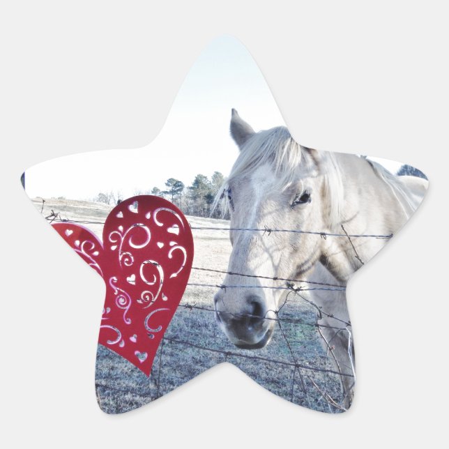 HORSE Valentine heart Star Sticker (Front)