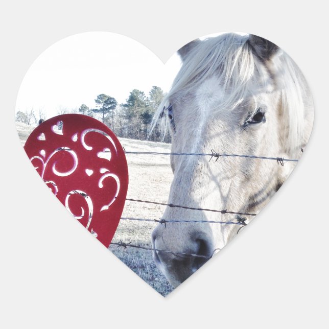 HORSE Valentine heart Sticker (Front)