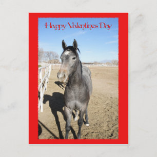 Horse Valentine Holiday Postcard
