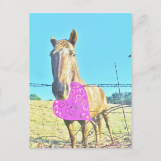 Horse Valentine Pink and turquoise Holiday Postcard