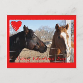 Horse Valentine VI Holiday Postcard