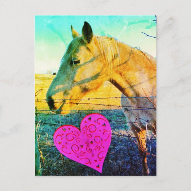 Horse valentine vintage reto postcard (Front)