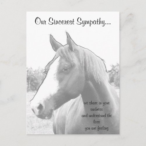 Horse Veterinarian Sympathy Postcard