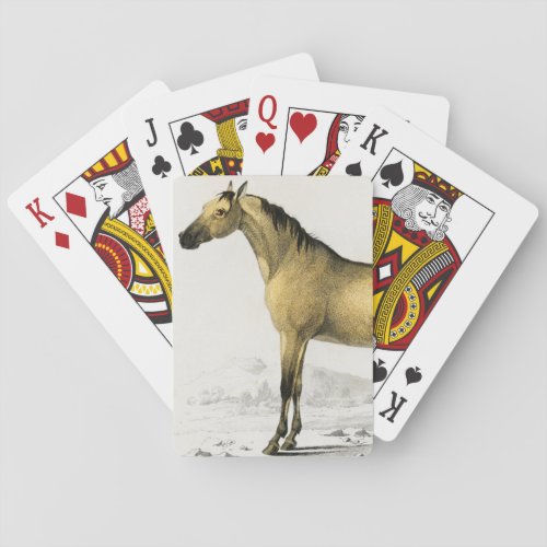 Horse vintage illustrated poker cards