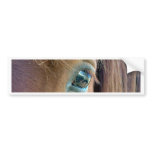 Horse Vision Bumper Sticker