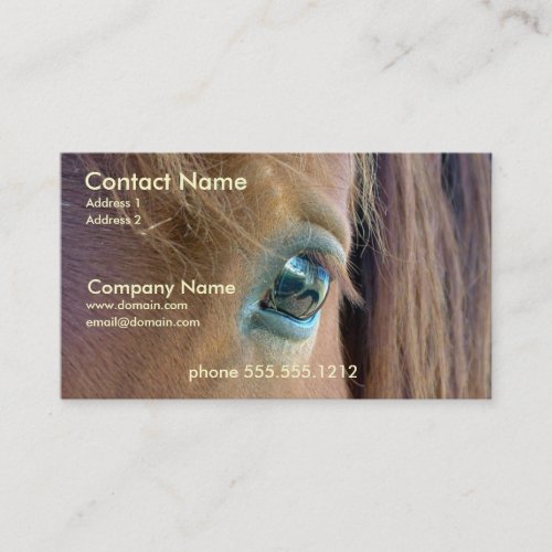 Horse Vision Business Card