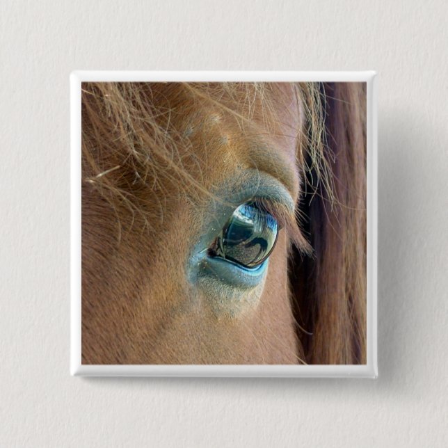 Horse Vision Button (Front)