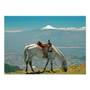 Horse & volcano, Quito, Ecuador Photo Print