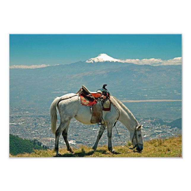 Horse & volcano, Quito, Ecuador Photo Print (Front)